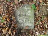 image of grave number 188101